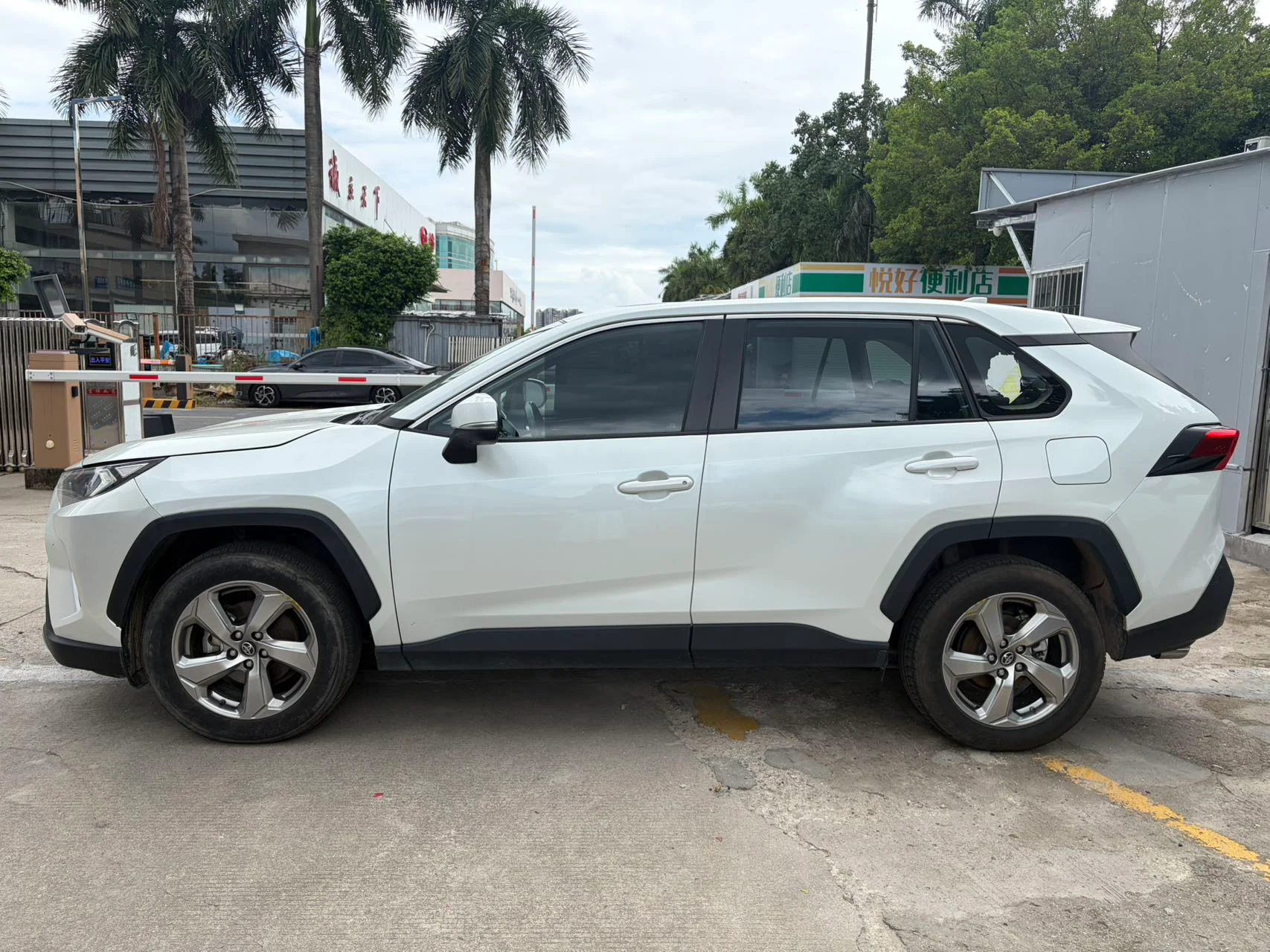 2023 Toyota RAV4 white side view